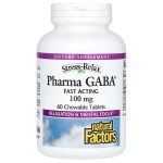 Natural Factors Stress Relax, Pharma GABA, 100 mg, 60 Vegetarian Capsules