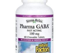 Natural Factors Stress Relax, Pharma GABA, 100 mg, 60 Vegetarian Capsules