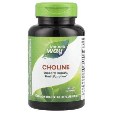 Nature'S Way Choline, 500 mg, 100 Vegan Tablets