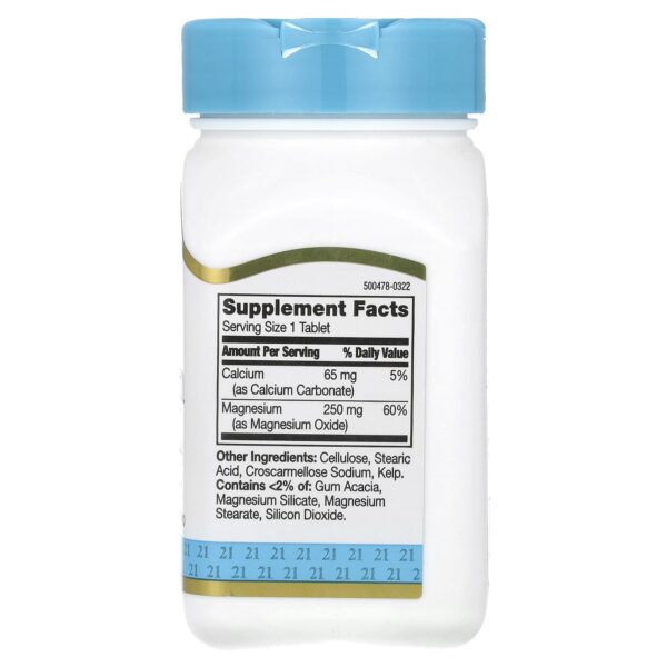 21st Century Magnesium, 250 mg, 110 tablets