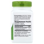 Nature's Way Schisandra Berry, 1160 mg, 100 vegetarian capsules