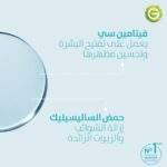 Garnier Skinactive Puractive Solution Micellaire  ANTI ACNE 400ml