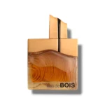 Bois de Bois Fragrance World Parfum Homme 100ml