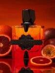 Forbidden Fruit Aromatix X French Avenue Parfum Unisexe 100ml