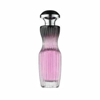 La Nuit Rose Fragrance World Parfum Femme 100ml