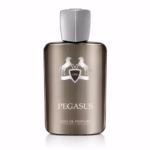 Pegasus Fragrance World Parfum Homme 100ml