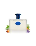 Tonic Ice Maison Alhambra Parfum Homme 100ml