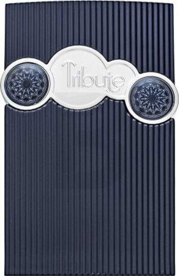 Tribute Blue Afnan Parfum Homme 100ml