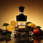 Venti Fragrance World Parfum Homme 100ml