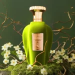 Voux Zingy Paris Corner Parfum Unisexe 100ml