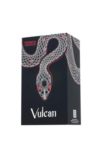 Vulcan Black Friday French Avenue Parfum Homme 100ml