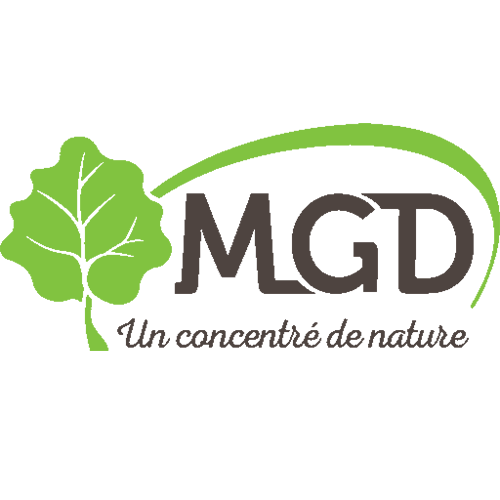 mgd-maroc